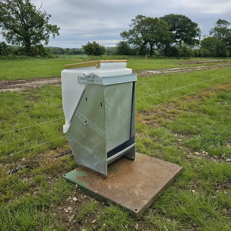 Piggyback feeder on a metal farrow feeder