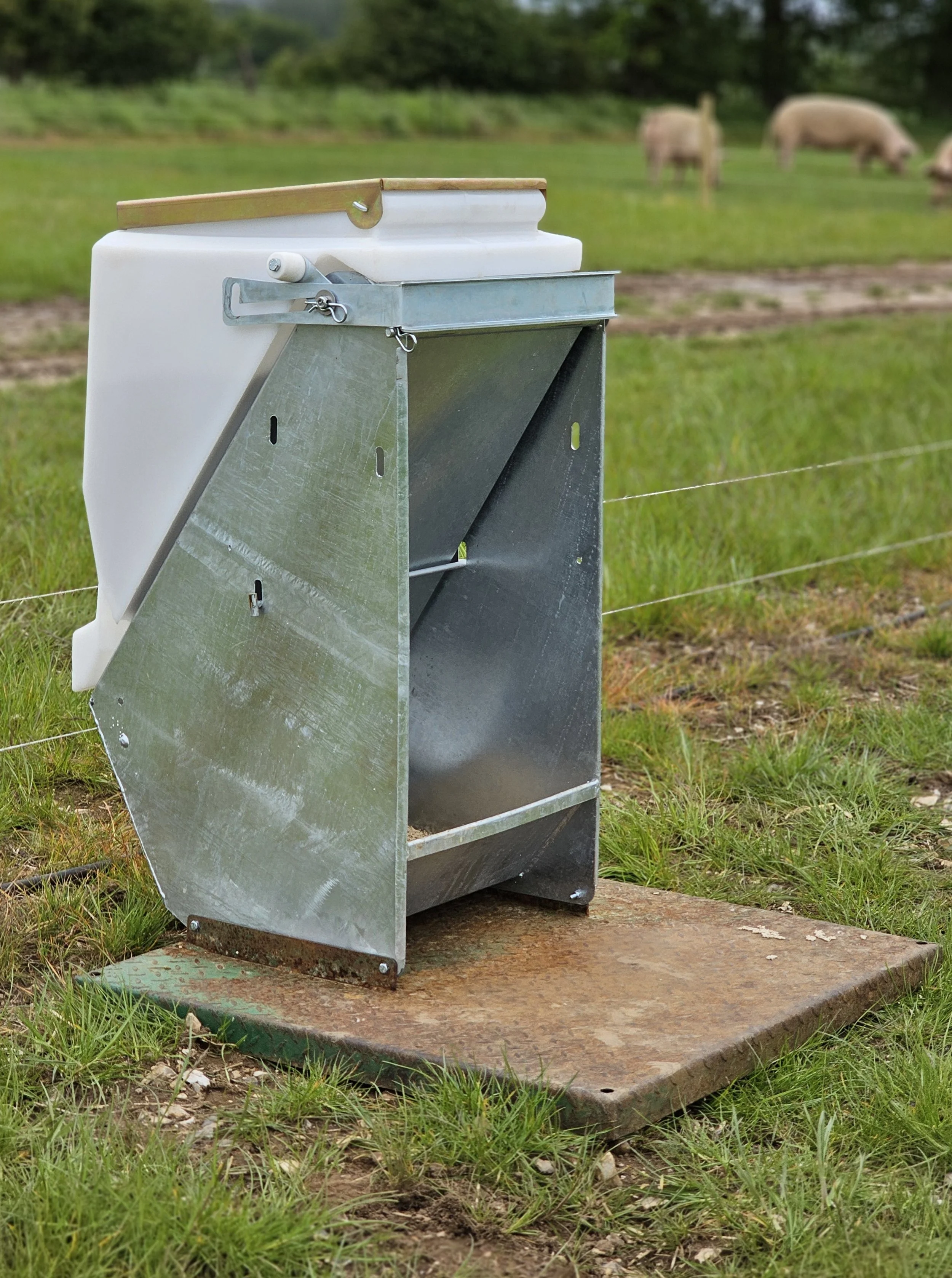 Piggyback feeder on a metal farrow feeder