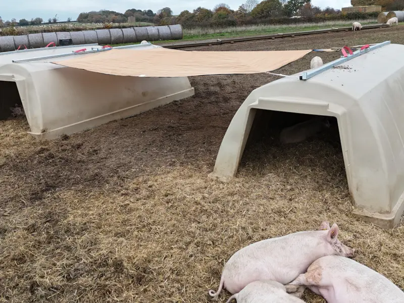 Sun shade between 2 huts