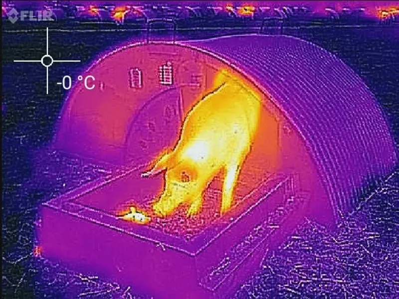 Infrared picture showing heat loss from an insulated metal ark