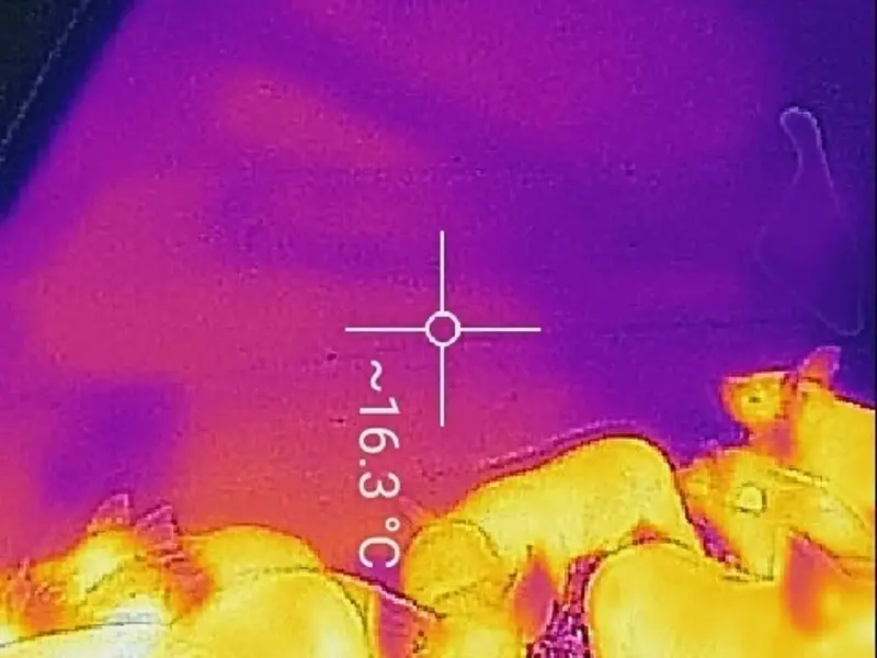 On a frosty morning the temperature inside the refrigeration grade insulated ark is 16.3 degrees
