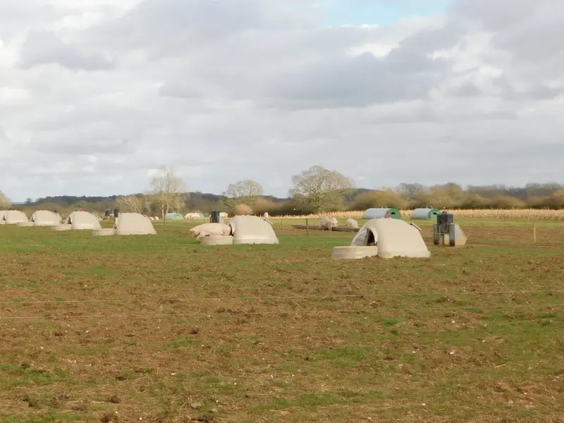Huts in an field